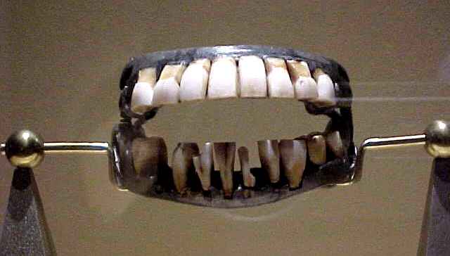 George Washington's Teeth © Stan Klos
